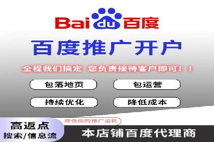 SEM运营策略案例分析